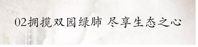 j9数字站&bull;江屿城丨燃动乐山，，，火爆开盘！